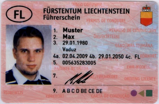 fuhrerscheine-eu.com