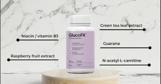 GlucoFit Dragons Den Customer Sentiment Analysis | Devfolio