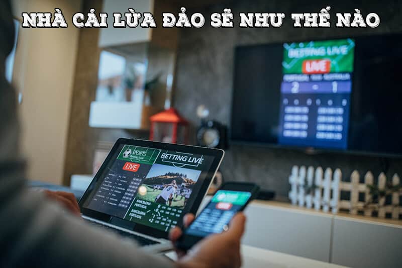 Thực trạng và cách nhận biết nhà cái lừa đảo mà bạn nên biết